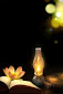 Hình đại diện của tài khoản