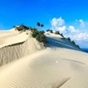 Hình đại diện của tài khoản
